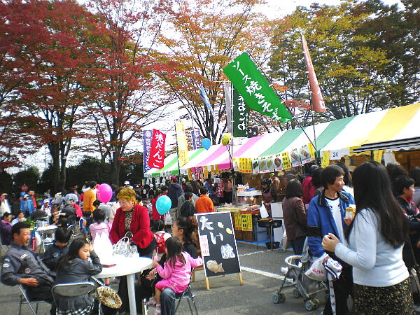 �͋[�X�̎ʐ^�F�N���b�N����ƑO�ɖ߂�܂�