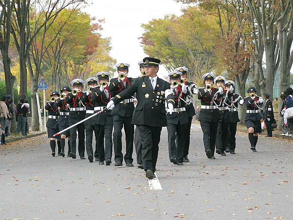 �s�i���Ă���ʐ^�F�N���b�N����ƑO�ɖ߂�܂�