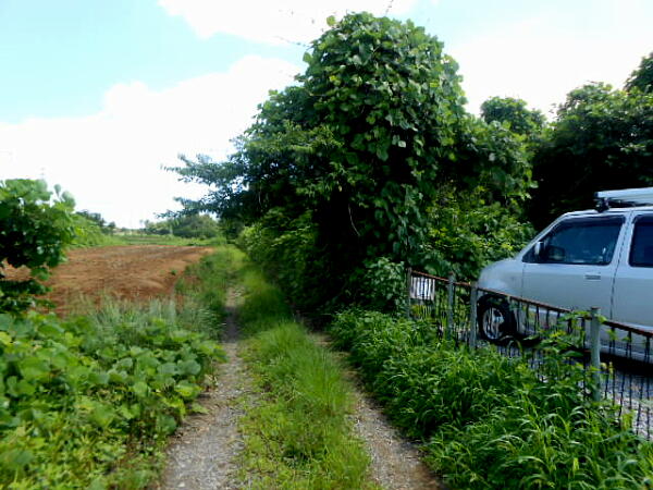 �������ł��Ȃ����H�̎ʐ^�F�N���b�N����ƑO�ɖ߂�܂�