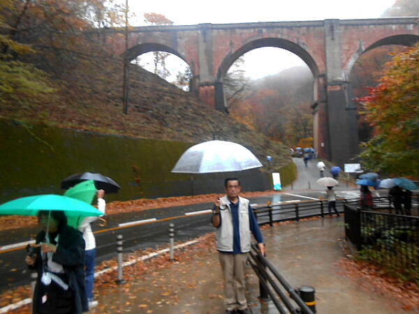 �V��c���̎ʐ^�F�N���b�N����ƑO�ɖ߂�܂�