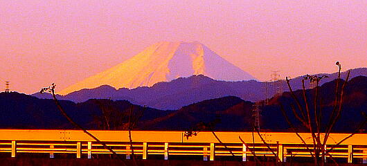 雪化粧した富士山写真：クリックすると大きくなります