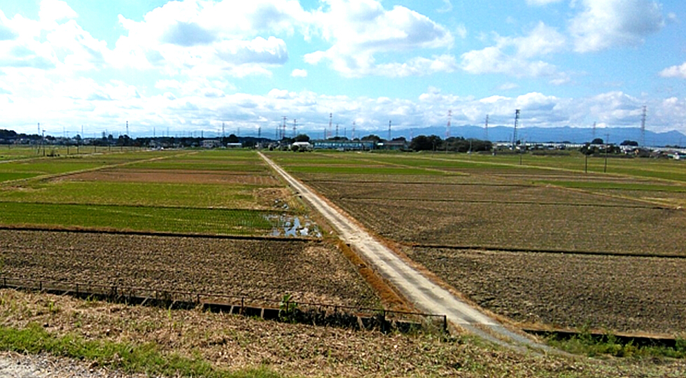 三芳野耕地の写真：Enterすると前に戻ります