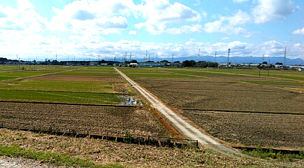 三芳野耕地の写真：Enterすると大きくなります
