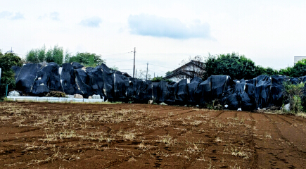 �ςݏグ��ꂽ�t���R���o�b�O�̎ʐ^�FEnter����Ƒ傫���Ȃ�܂�