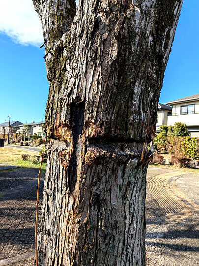 ���̊��̎ʐ^�FEnter����ƑO�ɖ߂�܂�